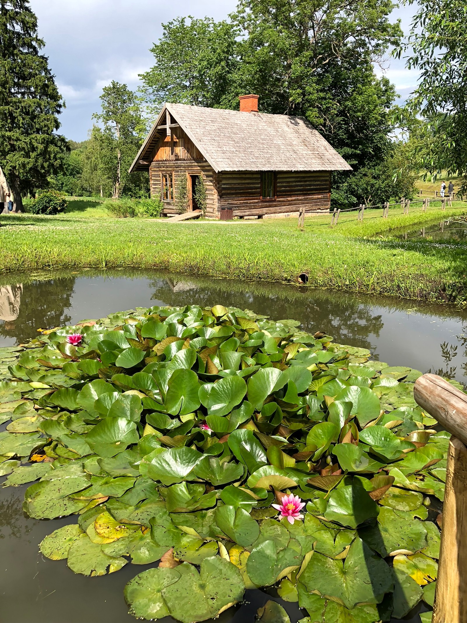 There is a small wooden house with a pond and a bridge (flower, botanical garden, body of water, plant, aquatic plant)