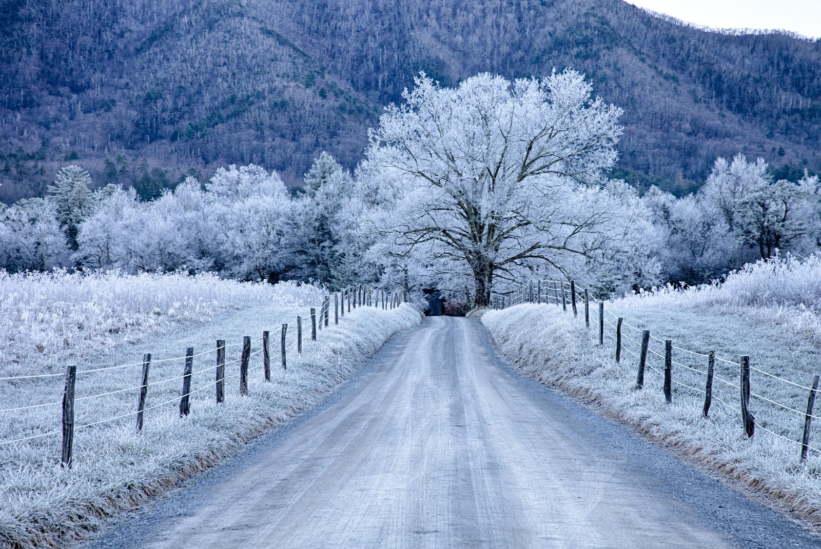 Lade nationalpark, grand teton nationalpark, schnee, winter, frost Hintergrund herunter