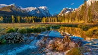 Scenic Idaho River Flowing Through Forest and Mountain Landscape