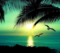 Tropical Paradise: Sunset Over a Serene Beach