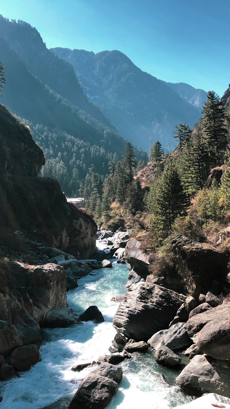 Река, протекающая через каменистую долину с деревьями (hd, куллу, kullu, пейзаж, manali)