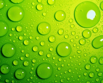 drops, green, rain, water, wet