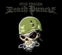 5fdp, five finger death punch, vidrio