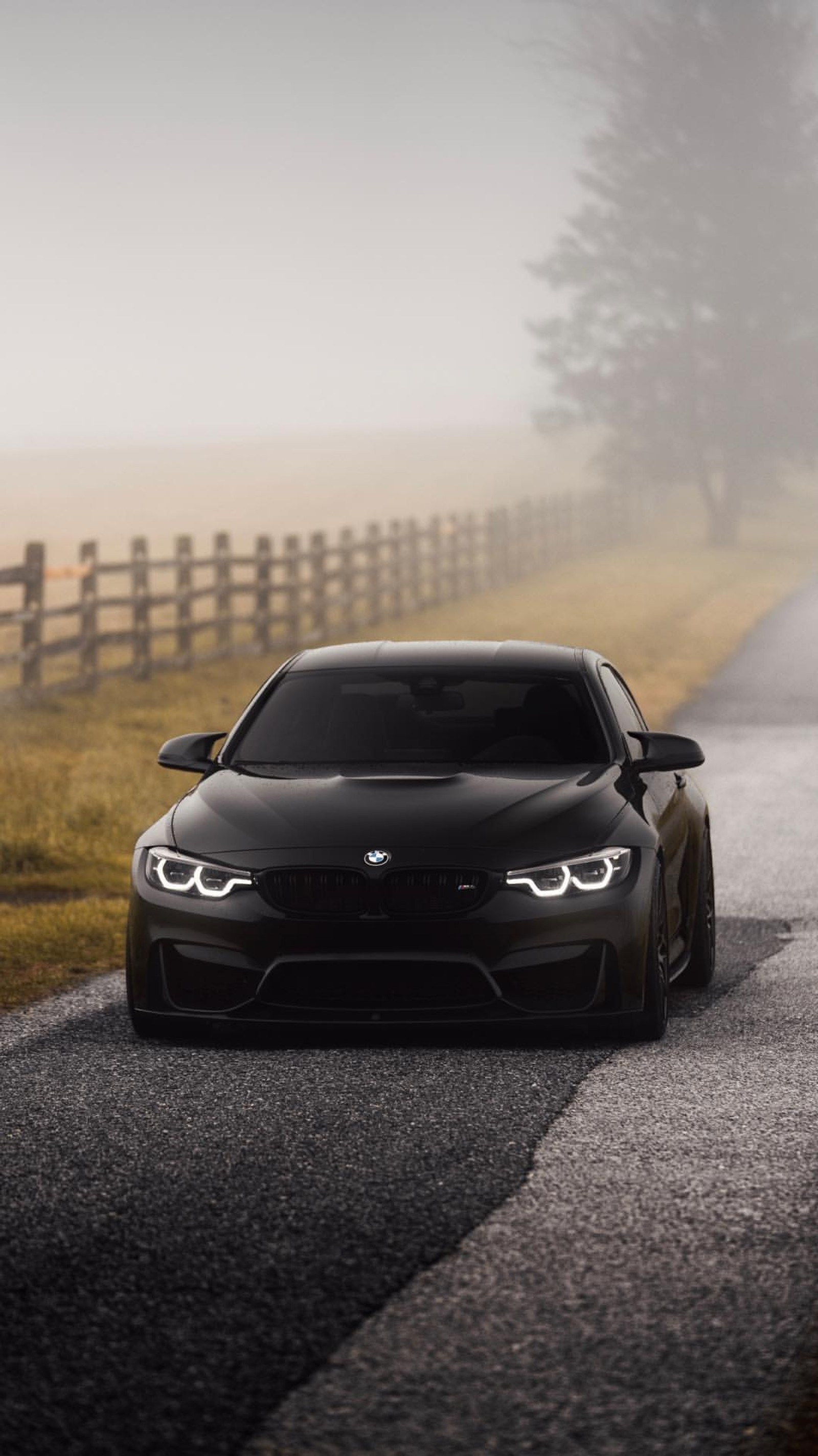 black, bmw, car, coupe, f82 wallpaper