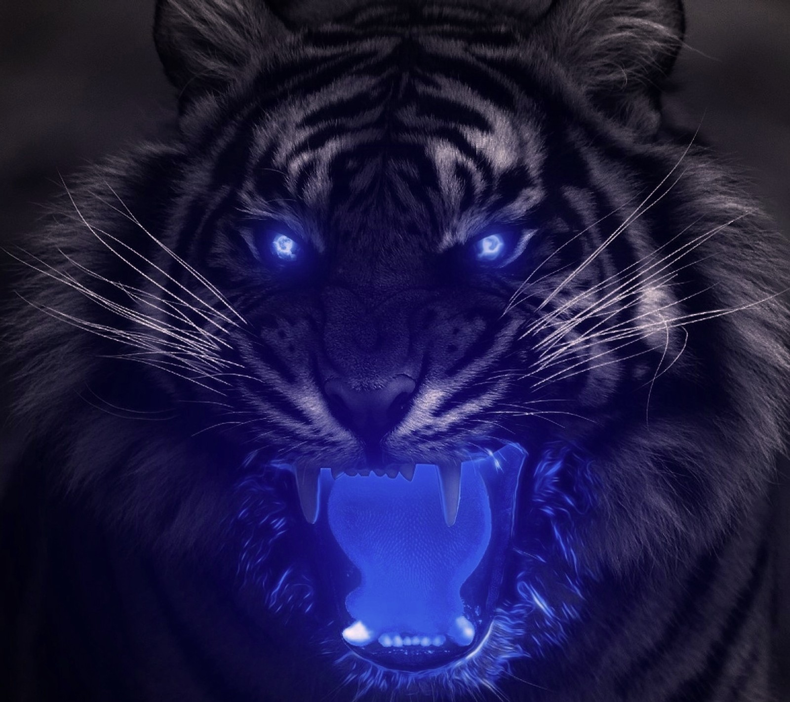 black, blue, light, tiger wallpaper