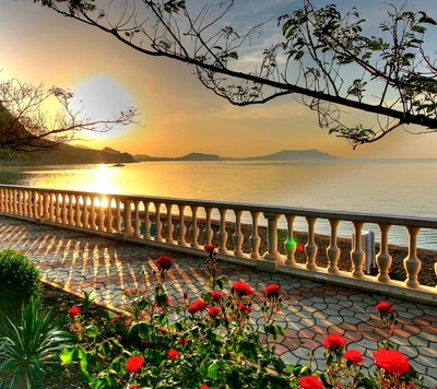 Coucher de soleil sur des eaux sereines avec des fleurs en fleurs