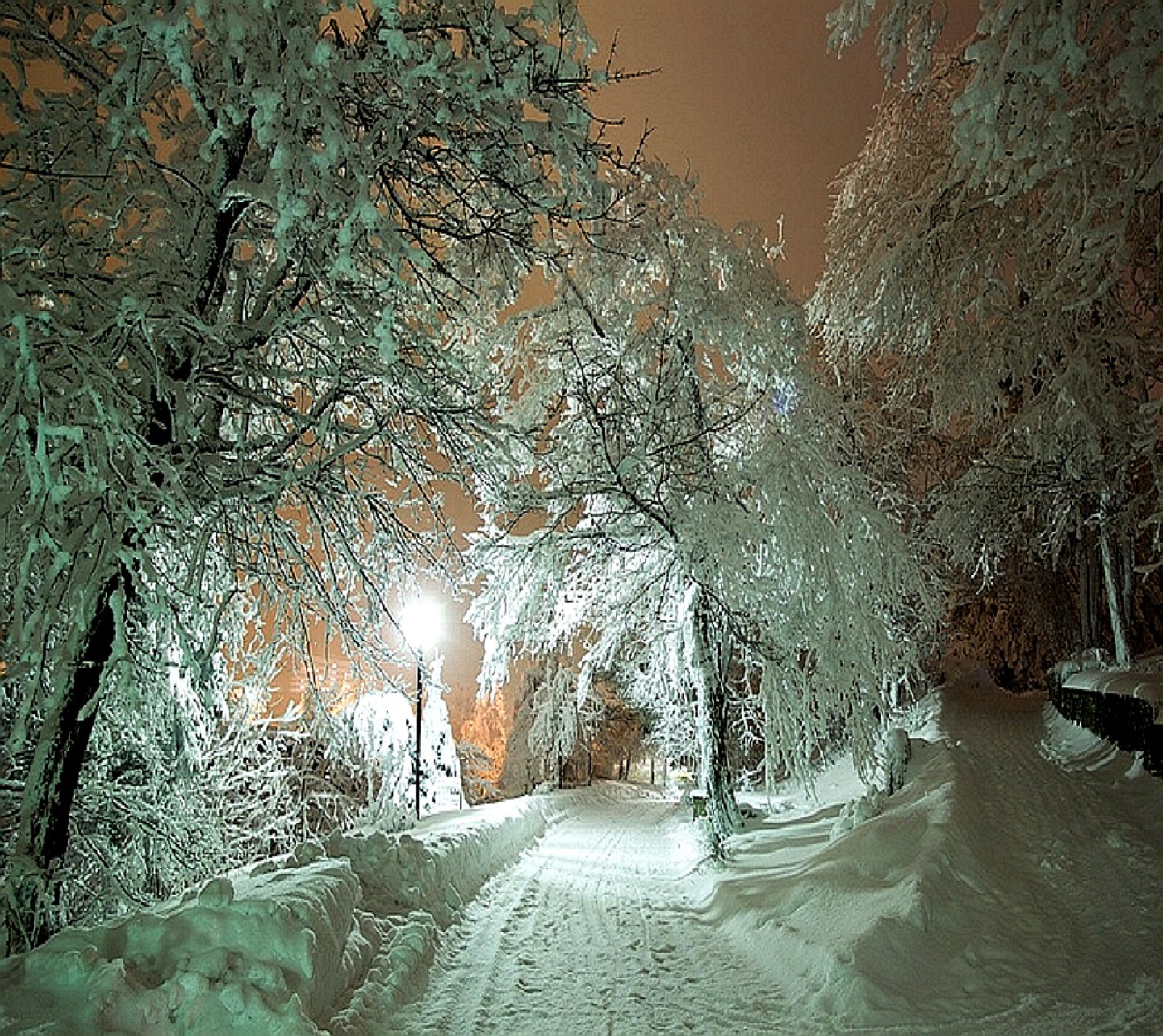 Um caminho nevado na floresta à noite com um banco e um poste de luz (inverno)