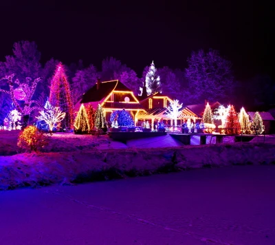 Verzaubernder Winterabend: Lebendige Weihnachtslichter in einer schneebedeckten Landschaft