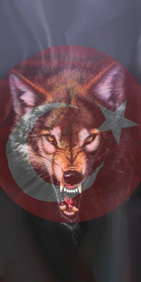 Fierce Wolf Symbolizing Turkish Heritage