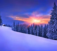 neige, soleil, hiver