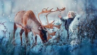 Un enfant en manteau d'hiver interagit avec un majestueux renne dans un paysage enneigé.