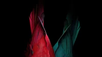 Vibrant Feathers of a Scarlet Macaw Against a Black Background