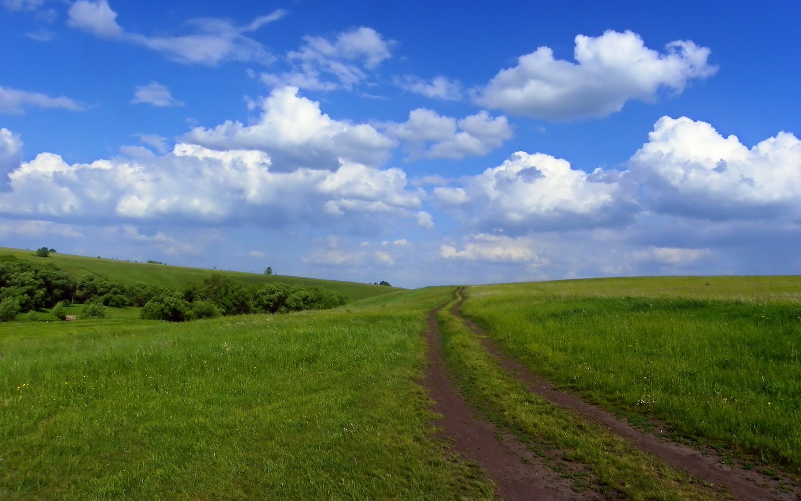 Скачать обои луг, палатка, кемпинг, поле, пастбище