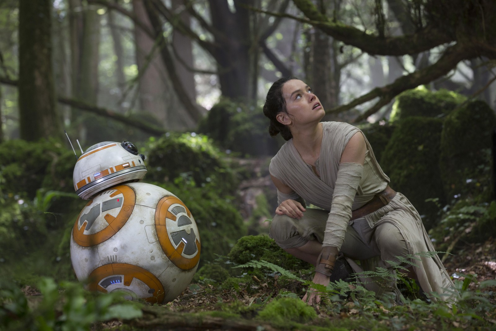 Une femme à genoux à côté d'un robot bb-8 dans les bois (star wars le réveil de la force, star wars, forêt, arbre, herbe)