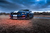 Ford Mustang Shelby GT500: Иконический мускул-кар в драматической обстановке