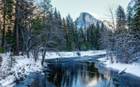 Selvagem coberta de neve de Yosemite: rio reflexivo e montanhas majestosas