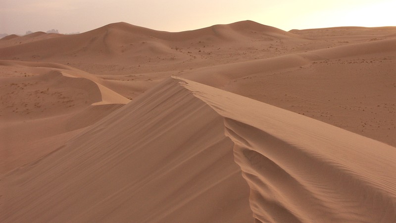 Жирафы в пустыне с небом на заднем плане (ерг, поющий песок, дюна, dune, вади)