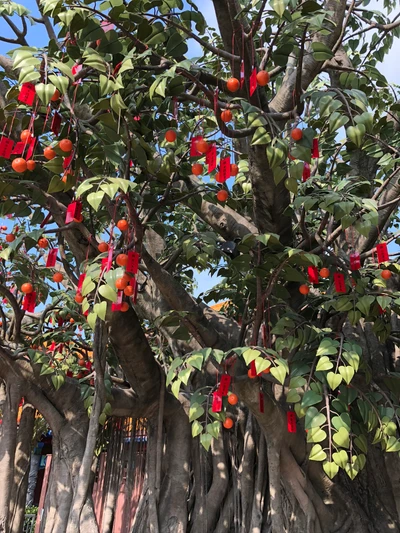 Árbol cargado de frutas con decoraciones rojas