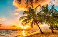 Tropischer Sonnenuntergang über einem ruhigen Strand mit Palmen