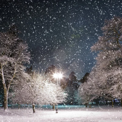 beau, nuit, neige, hiver