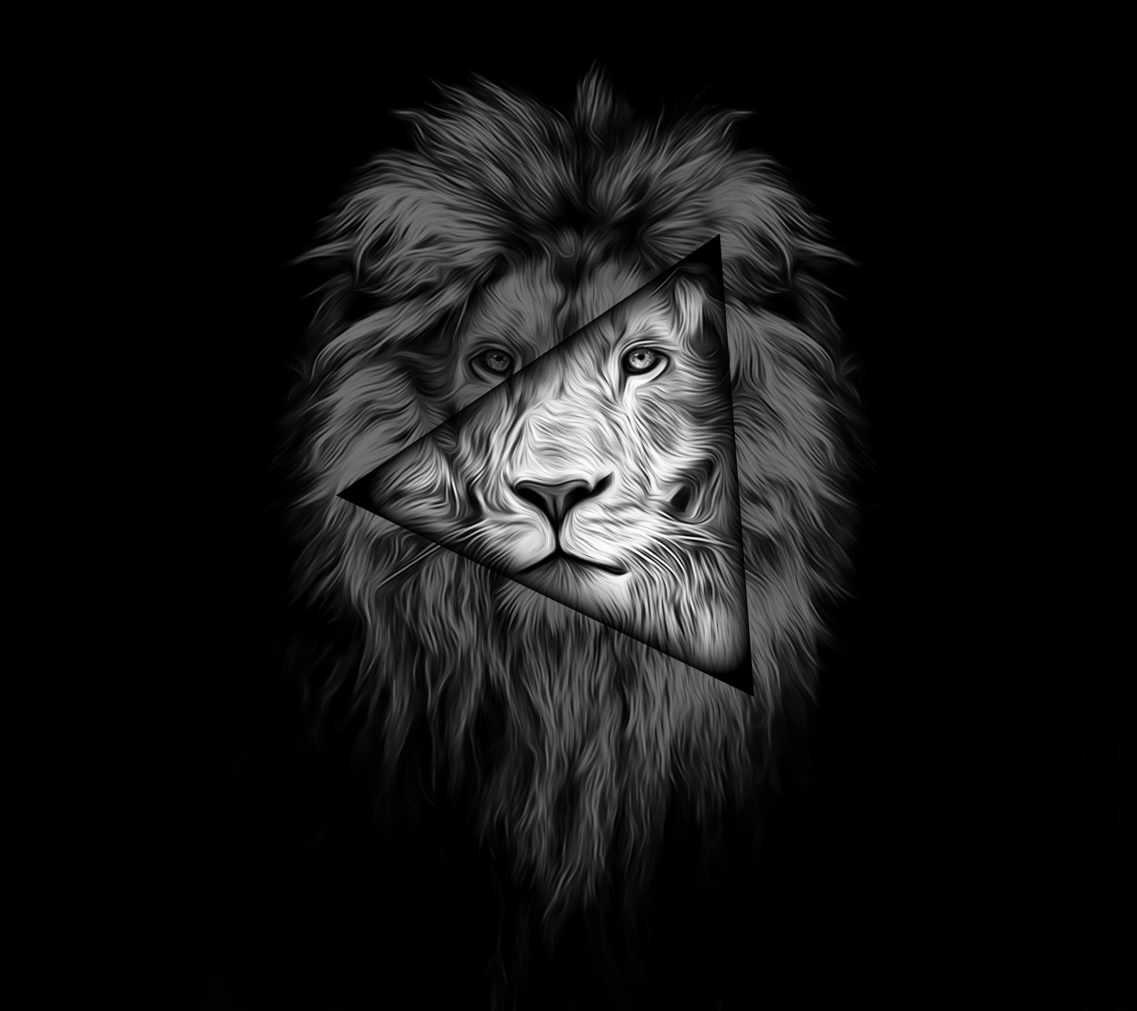 A black and white photo of a lion with a knife in its mouth (lion, triangle)