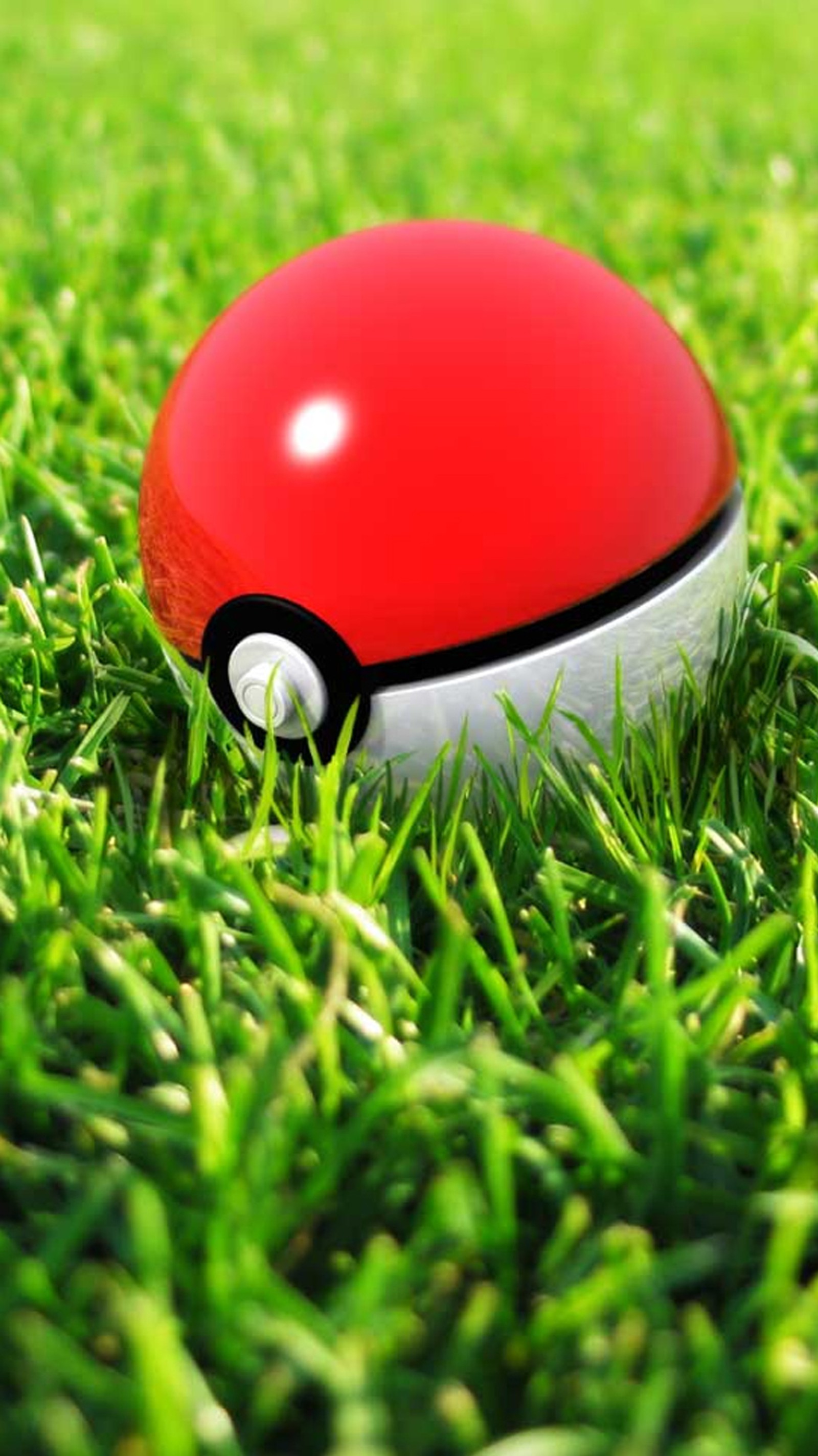 Lade pobeball, pokémon, pokemon Hintergrund herunter