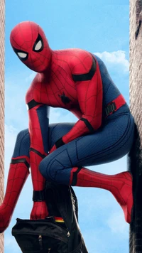 homecoming, marvel, peterparker, spiderman, spidey wallpaper