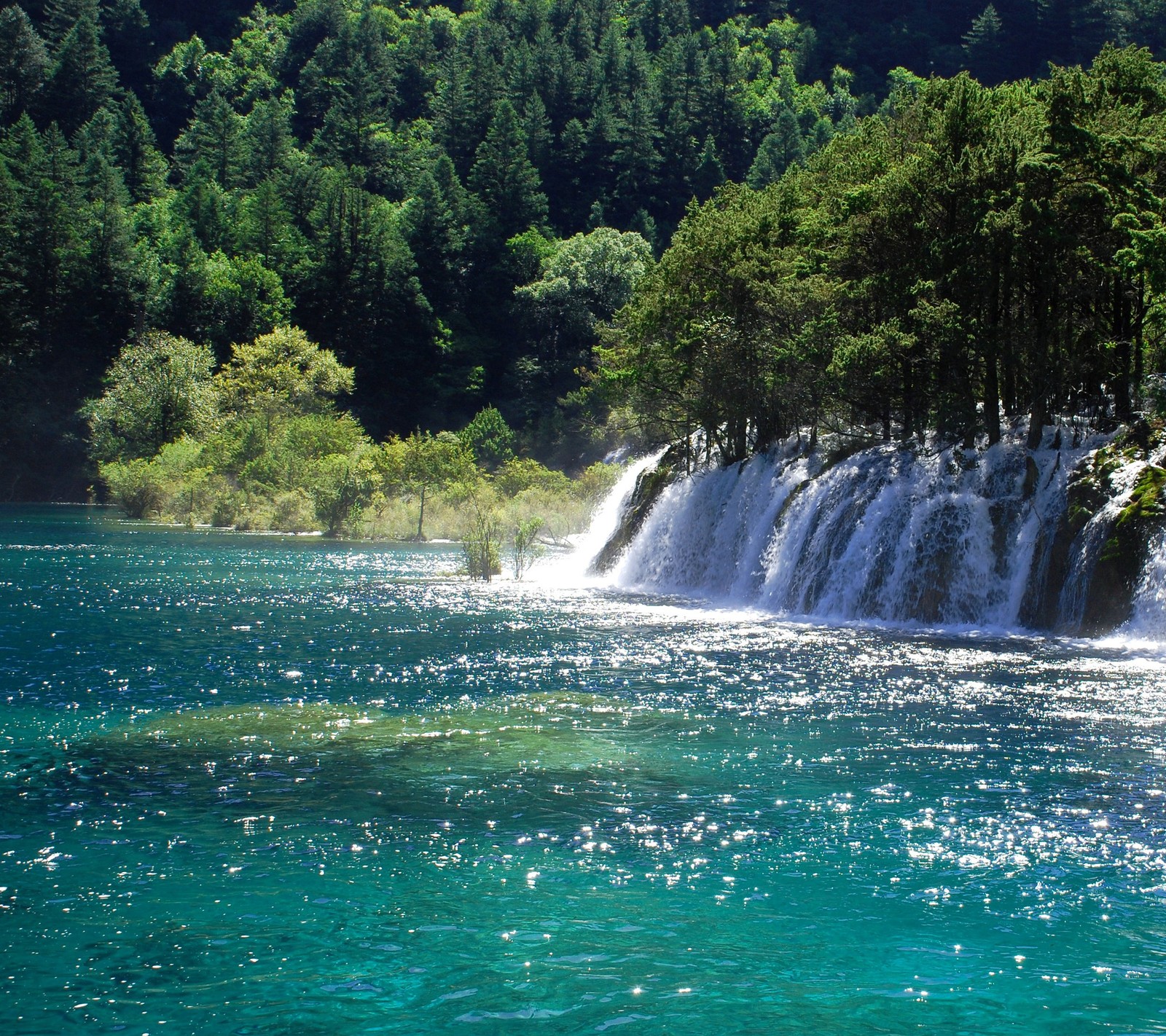 Cascade arafed au milieu d'un lac avec des arbres en arrière-plan (chutes, nature, eau)