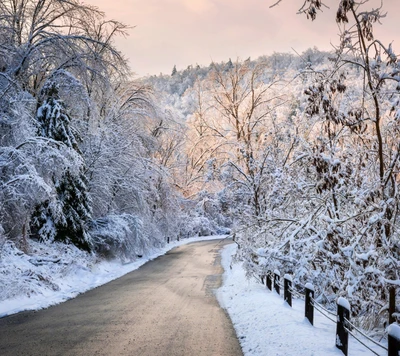 Estrada de inverno através de uma floresta coberta de neve