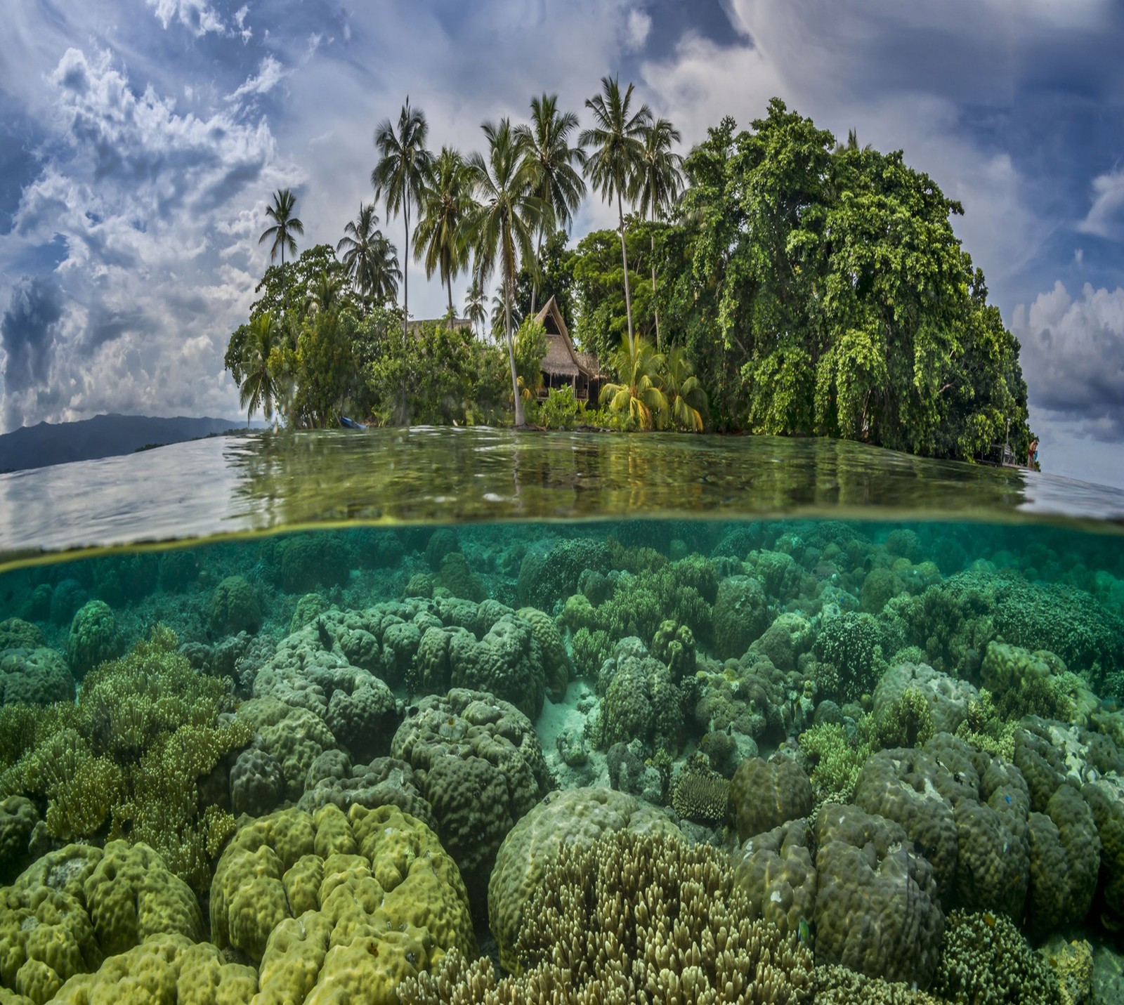 Aussicht auf eine tropische insel mit einem kleinen haus in der mitte des wassers (abej, beograd, paradies)