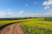 cloud, flower, plant, ecoregion, natural landscape wallpaper