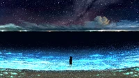 anime, night, sky, stars, beach wallpaper