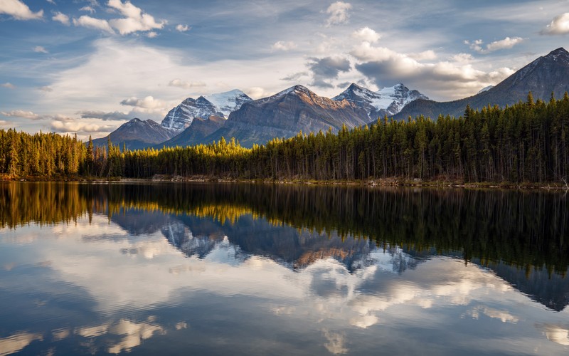 Вид на озеро с горой на заднем плане (озеро луиза, lake louise, национальный парк банфф, banff national park, лето)