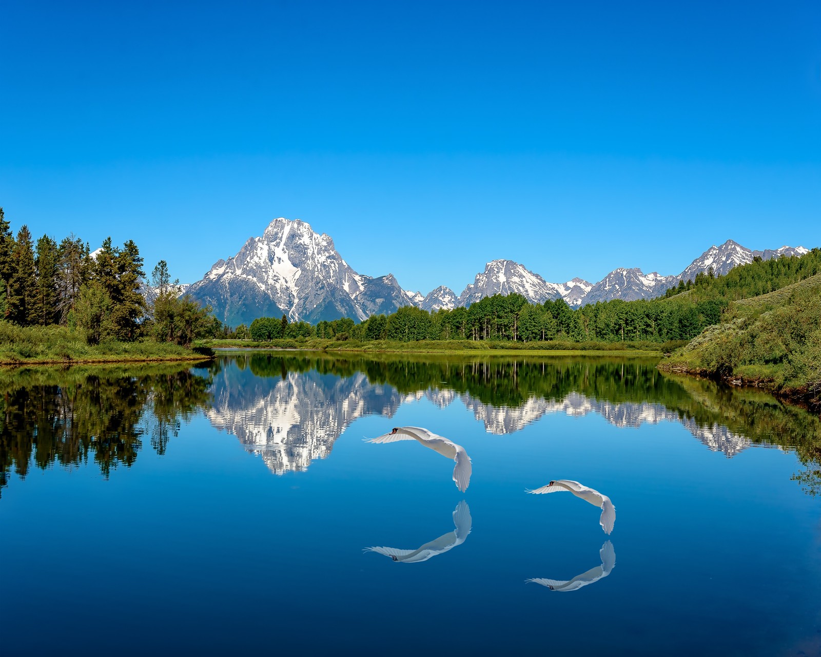 Deux oiseaux volent au-dessus d'un lac avec des montagnes en arrière-plan (lac, esthétique bleue, montagnes, ciel bleu, paysage)