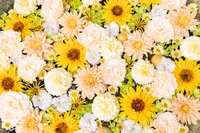 Bouquet de fleurs jaunes vives : Chrysanthèmes et marguerites en fleurs