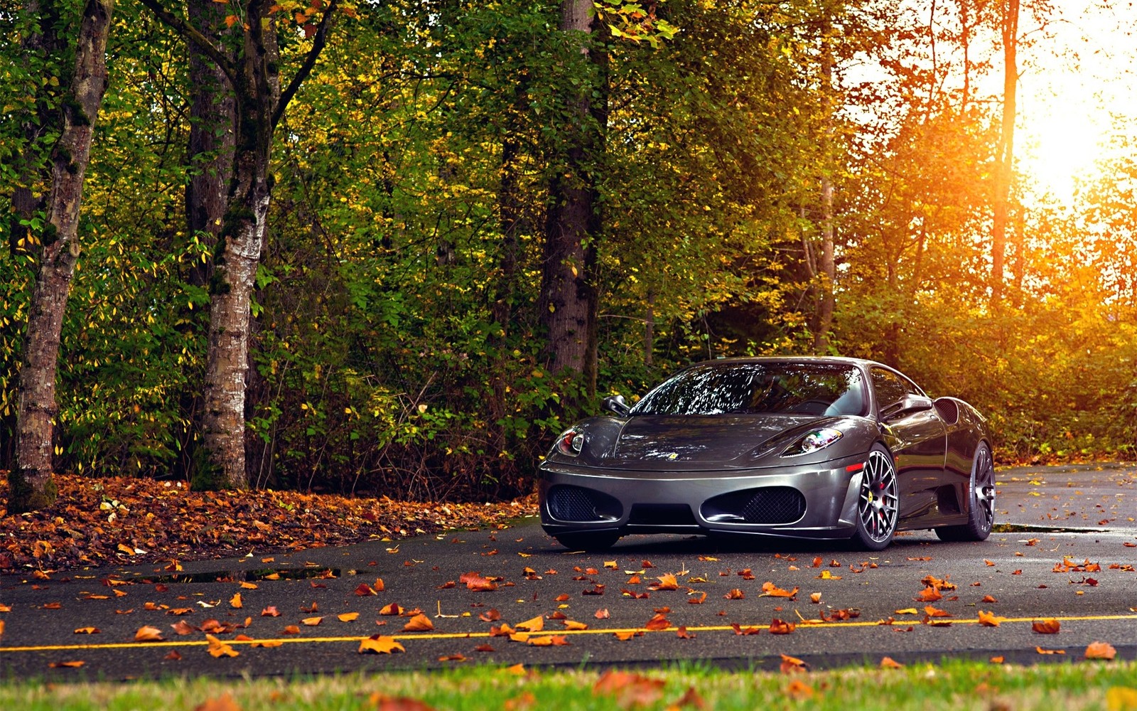 Téléchargez le fond d'écran ferrari f430, voiture de sport, plante, ferrari 430 scuderia, feuilles