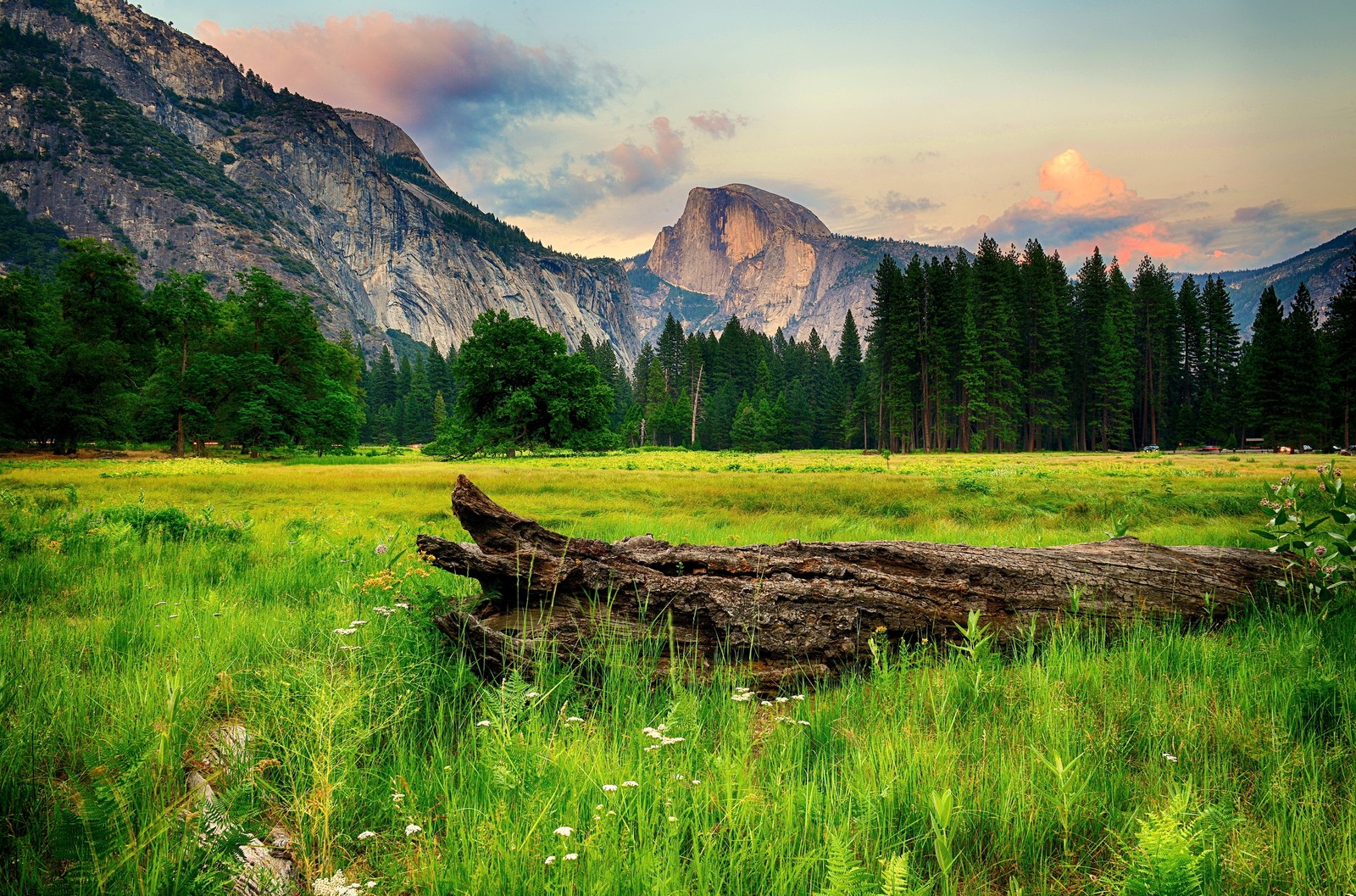 Arafed log in a field with mountains in the background (landscape, nature, mountainous landforms, mountain, wilderness)