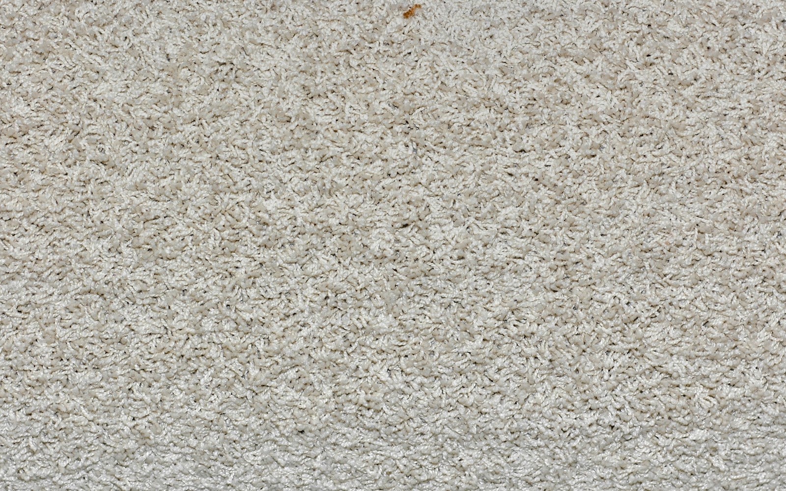 A close up of a white carpet with a small patch of dirt (carpet, white, texture, flooring, material)