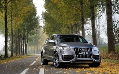 Audi Q7 2018 estacionado em uma estrada serena ladeada por árvores com folhagem de outono.