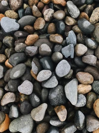 Natural Pebble Landscape with a Variety of Textures and Colors