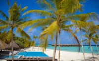 Vila tropical oásis com piscina com vista para a praia de areia branca