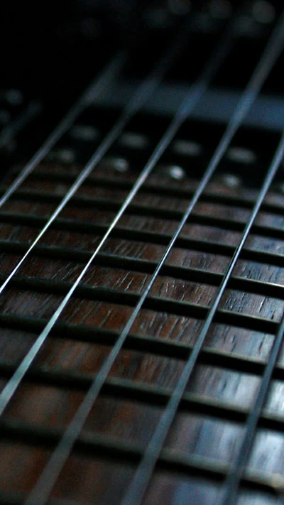 Close-up of guitar strings on a wooden fretboard.