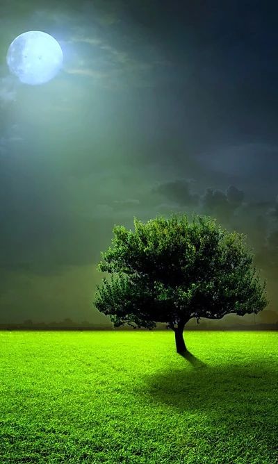 Paysage serein au clair de lune avec un arbre solitaire