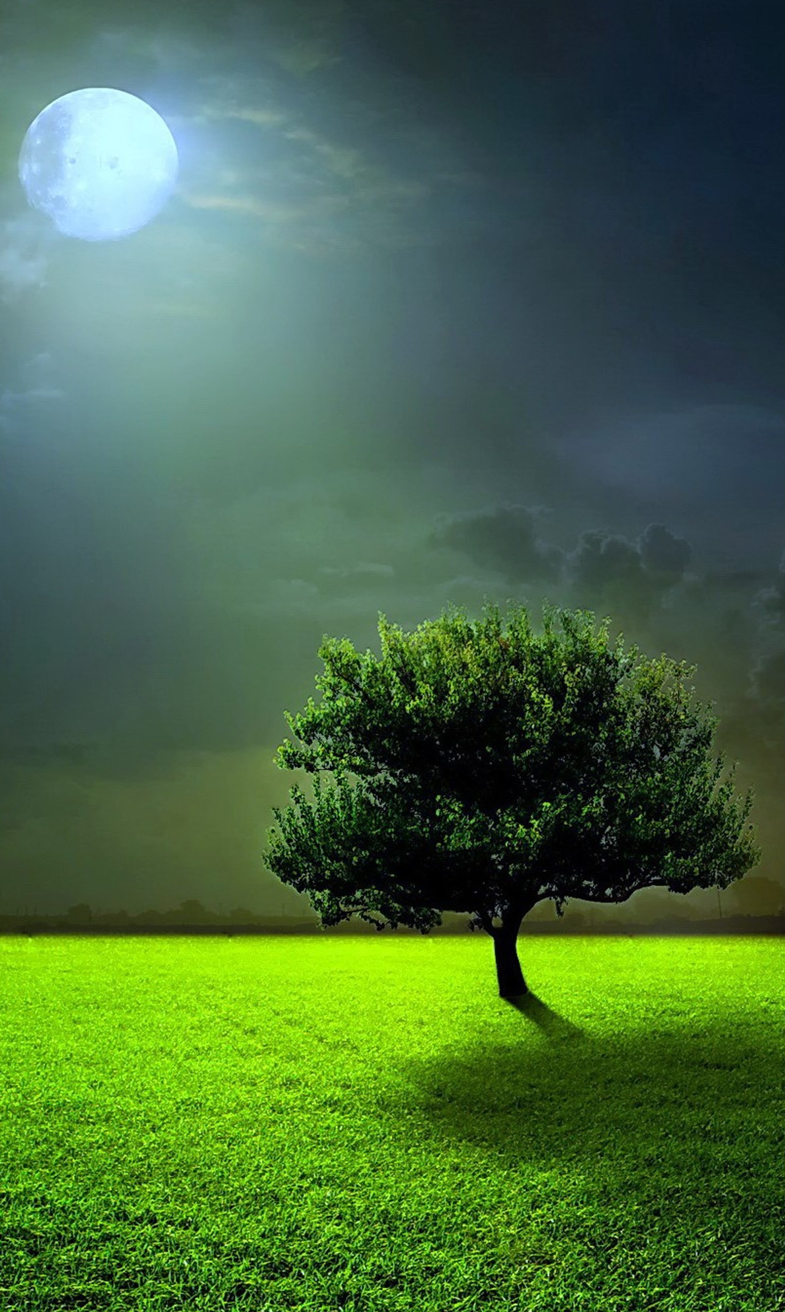 Uma árvore solitária em um campo com uma lua cheia ao fundo (lua, natureza)