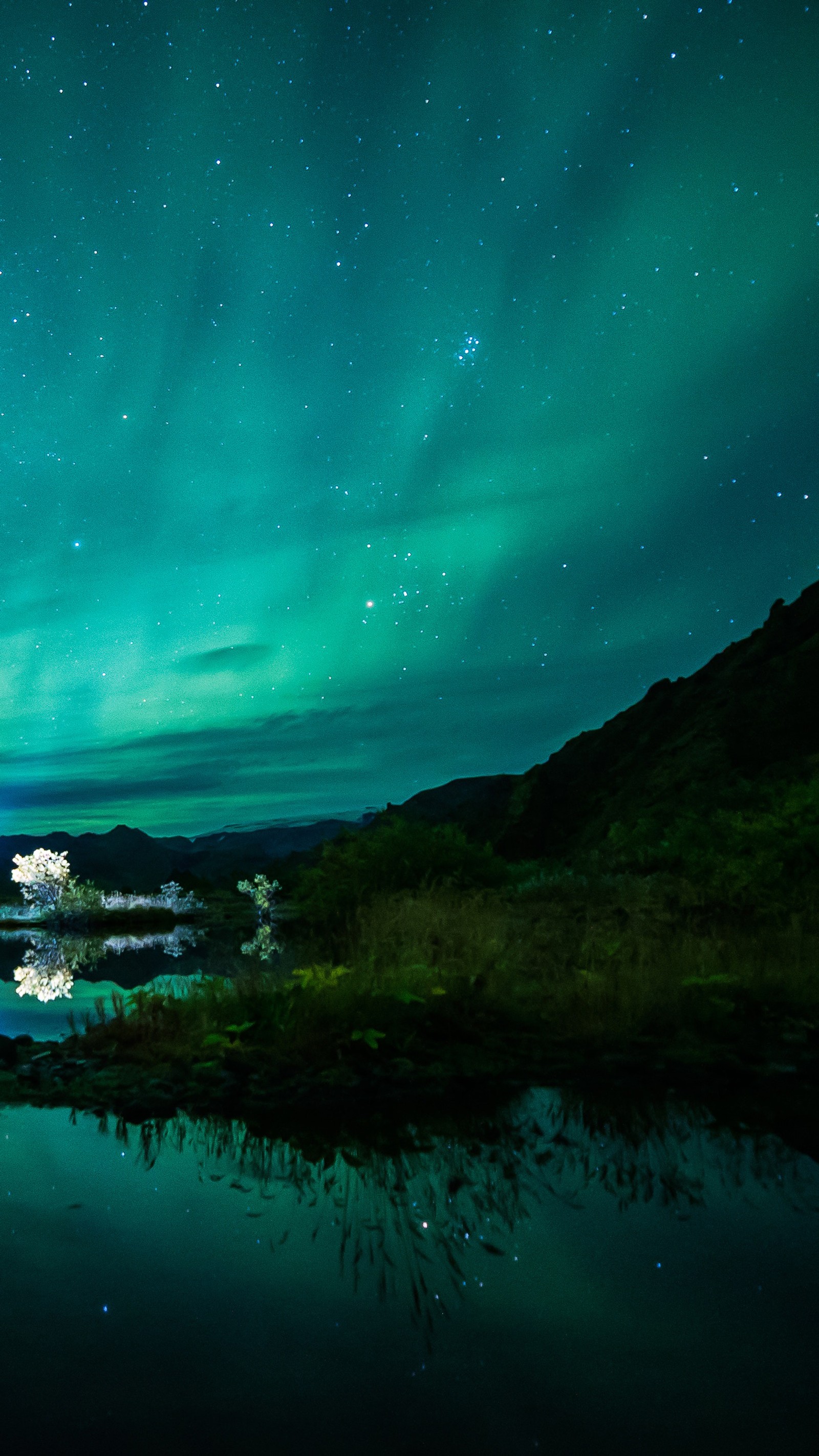 Lade nördlich, lichter, himmel, natur, lit Hintergrund herunter