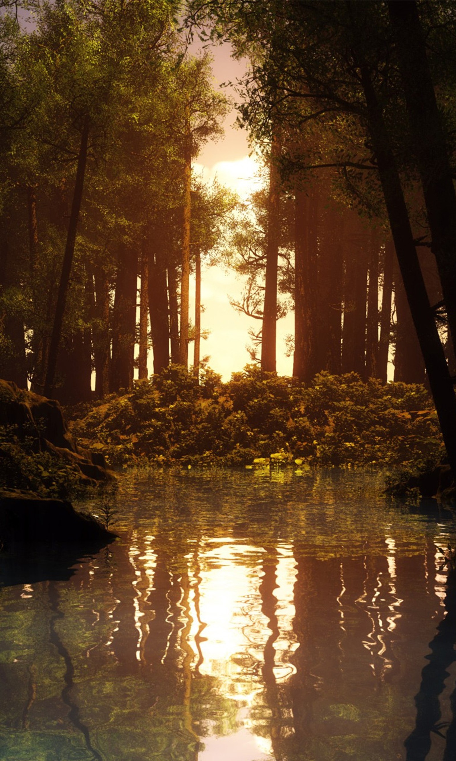 There is a picture of a lake in the woods with trees (awesome, clean, forest, lake, nature)