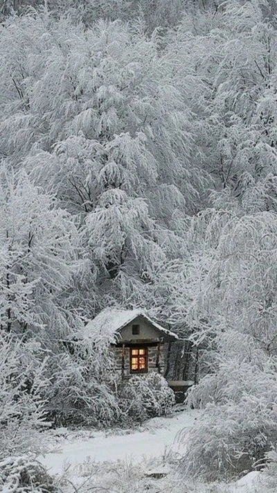 Snowy Woodland Retreat with Warm Glow