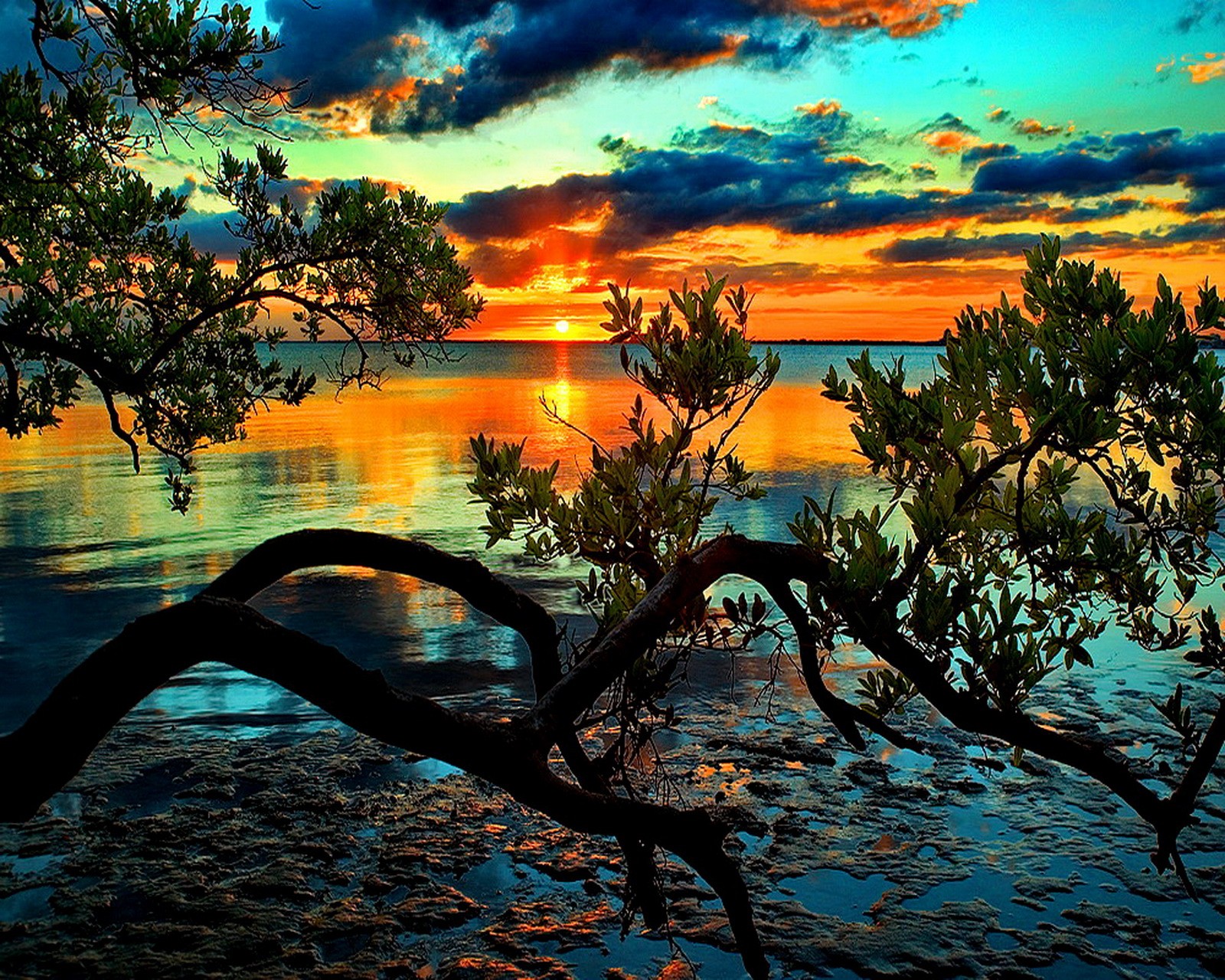 Lade natur, sonnenuntergang Hintergrund herunter