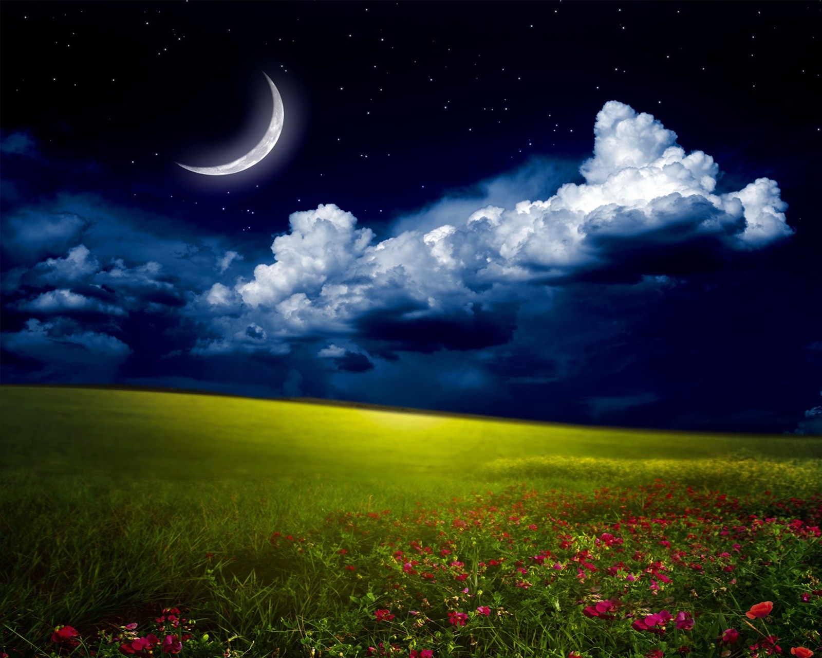 Ein feld mit blumen und einem halbmond am himmel (wolken, feld, gras, mond, natur)