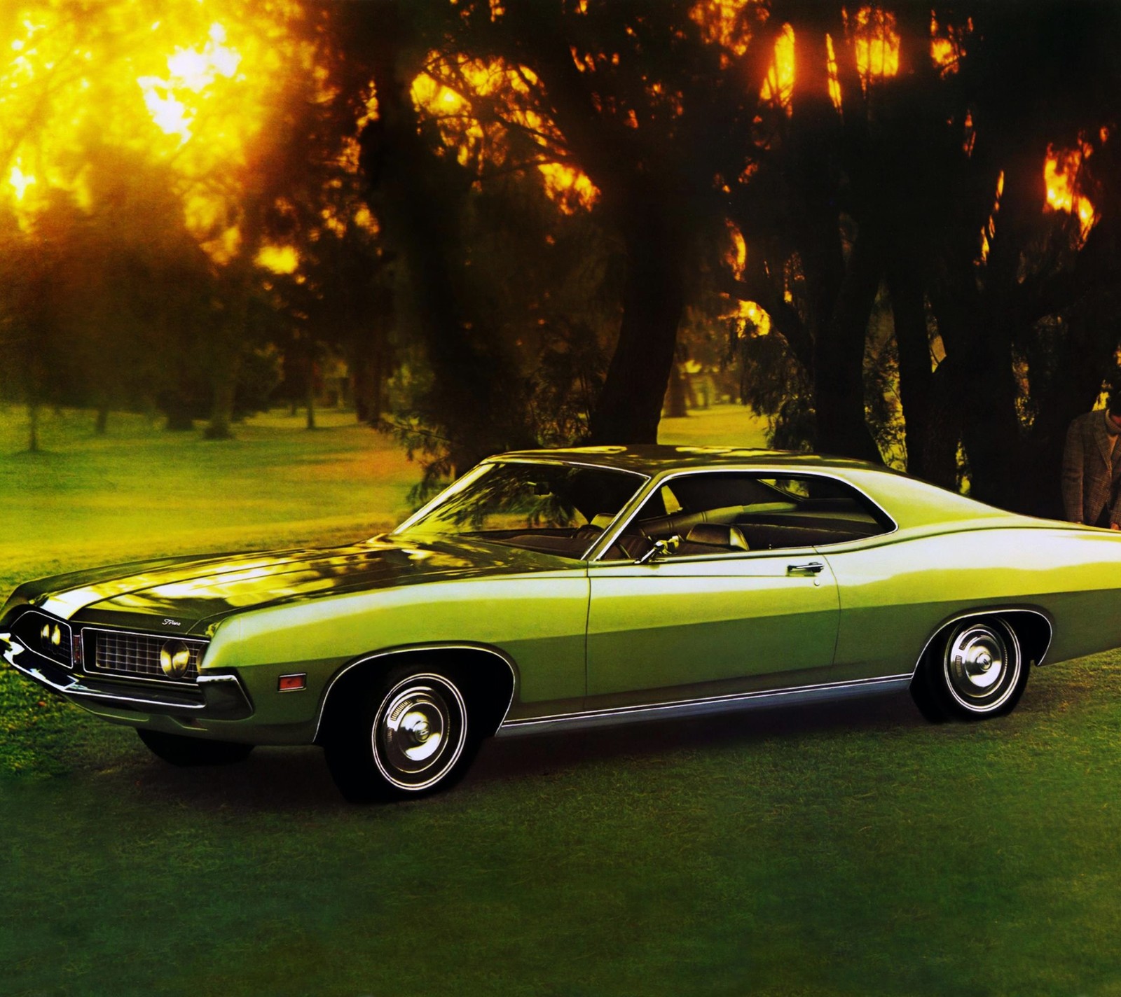 A close up of a green car parked in a field (1971, car, green, nature, sunset)